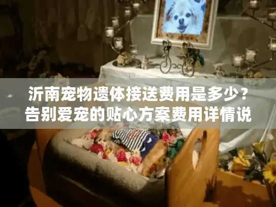 沂南宠物遗体接送费用是多少？告别爱宠的贴心方案费用详情说明