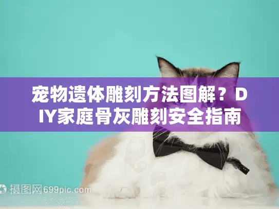 宠物遗体雕刻方法图解？DIY家庭骨灰雕刻安全指南