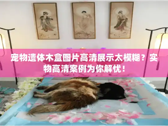 宠物遗体木盒图片高清展示太模糊？实物高清案例为你解忧！