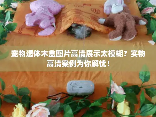 宠物遗体木盒图片高清展示太模糊？实物高清案例为你解忧！