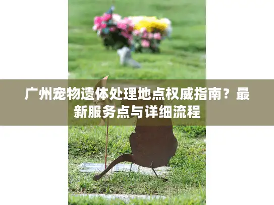 广州宠物遗体处理地点权威指南？最新服务点与详细流程