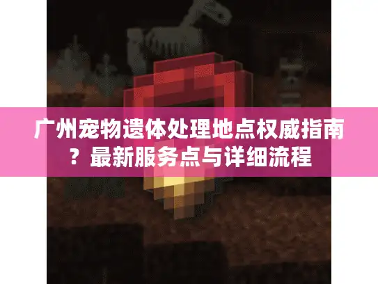 广州宠物遗体处理地点权威指南？最新服务点与详细流程