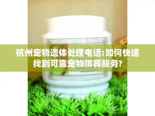 杭州宠物遗体处理电话:如何快速找到可靠宠物殡葬服务?