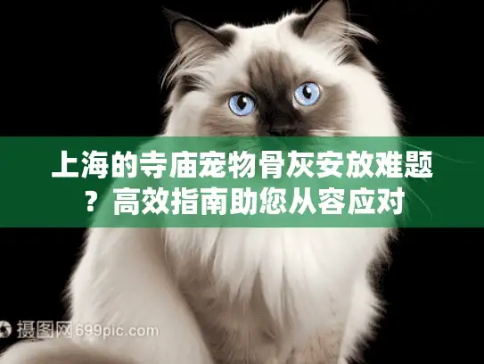上海的寺庙宠物骨灰安放难题？高效指南助您从容应对