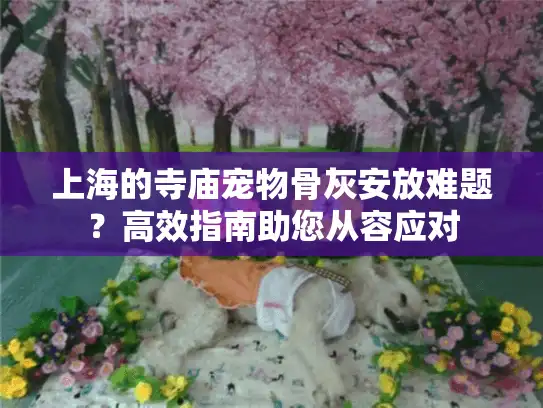 上海的寺庙宠物骨灰安放难题？高效指南助您从容应对
