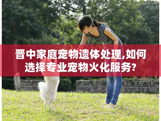 晋中家庭宠物遗体处理,如何选择专业宠物火化服务?