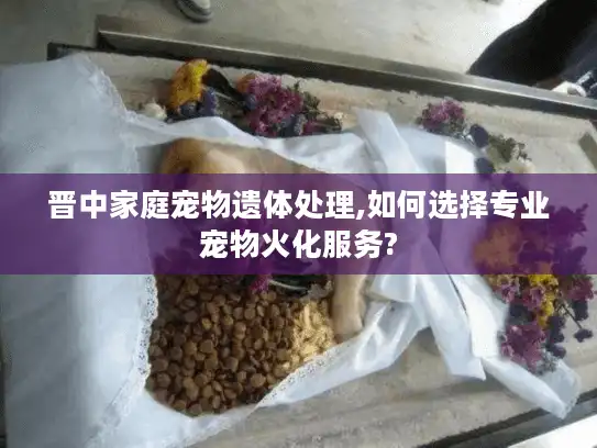 晋中家庭宠物遗体处理,如何选择专业宠物火化服务?