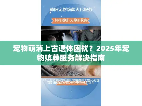 宠物萌消上古遗体困扰？2025年宠物殡葬服务解决指南