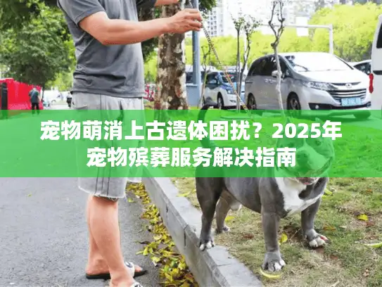 宠物萌消上古遗体困扰？2025年宠物殡葬服务解决指南