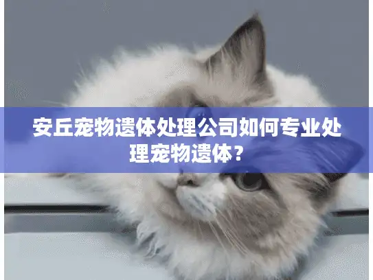 安丘宠物遗体处理公司如何专业处理宠物遗体？