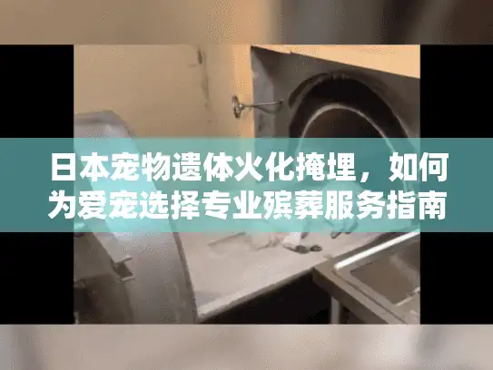 日本宠物遗体火化掩埋，如何为爱宠选择专业殡葬服务指南
