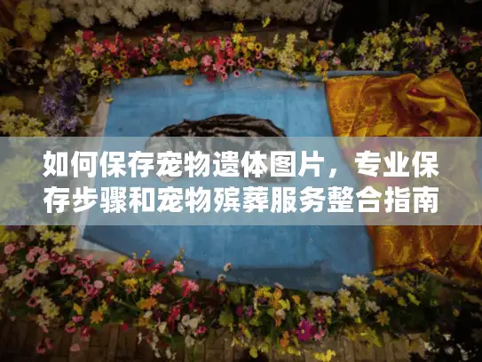 如何保存宠物遗体图片，专业保存步骤和宠物殡葬服务整合指南