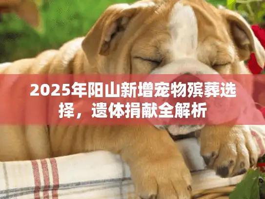 2025年阳山新增宠物殡葬选择，遗体捐献全解析