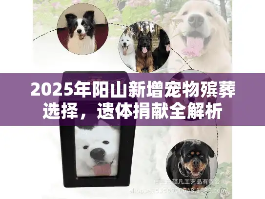2025年阳山新增宠物殡葬选择，遗体捐献全解析