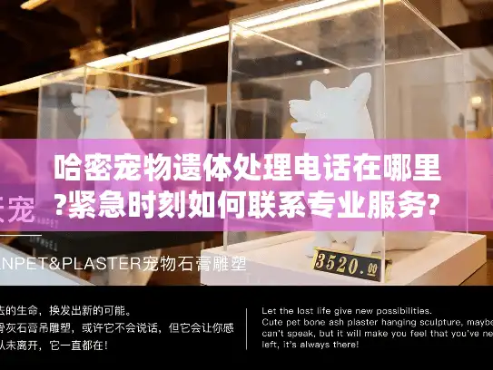 哈密宠物遗体处理电话在哪里?紧急时刻如何联系专业服务?
