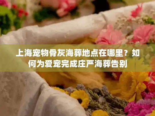上海宠物骨灰海葬地点在哪里？如何为爱宠完成庄严海葬告别
