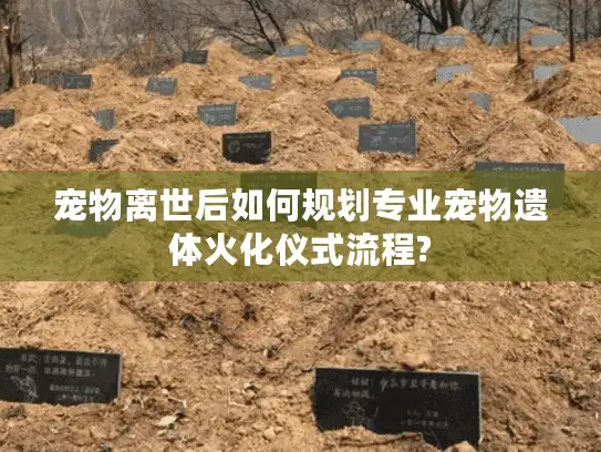 宠物离世后如何规划专业宠物遗体火化仪式流程?