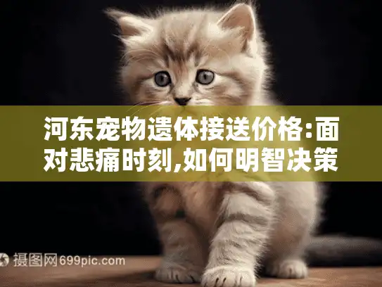河东宠物遗体接送价格:面对悲痛时刻,如何明智决策节省开支?