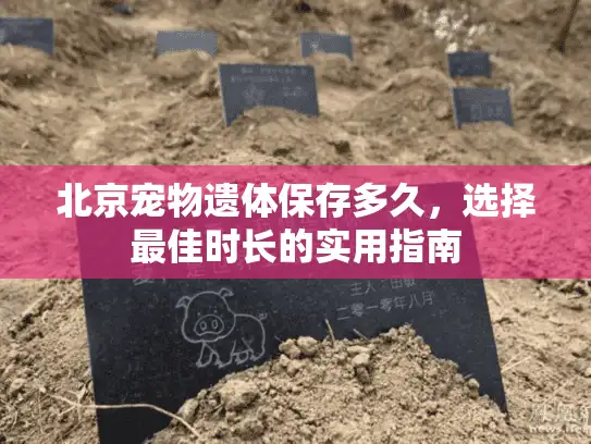 北京宠物遗体保存多久，选择最佳时长的实用指南