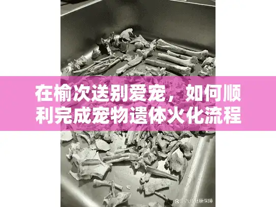 在榆次送别爱宠，如何顺利完成宠物遗体火化流程？全流程指南来了