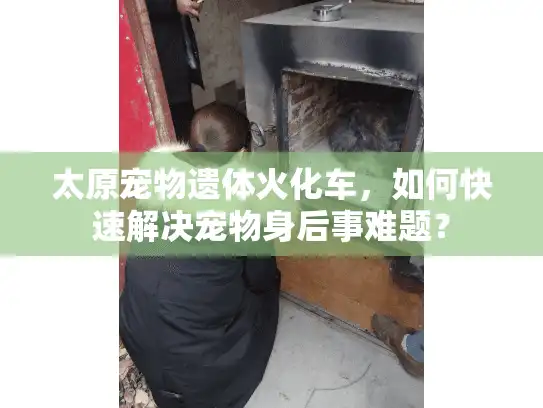 太原宠物遗体火化车，如何快速解决宠物身后事难题？