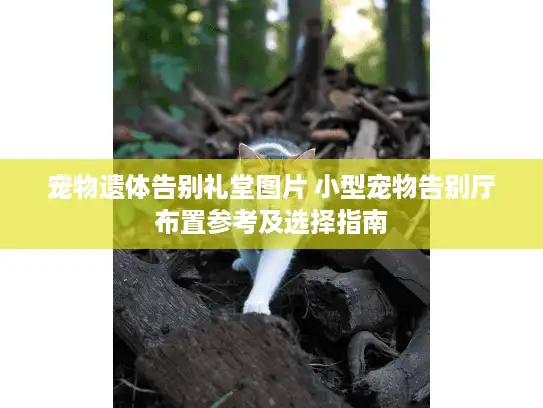 宠物遗体告别礼堂图片 小型宠物告别厅布置参考及选择指南