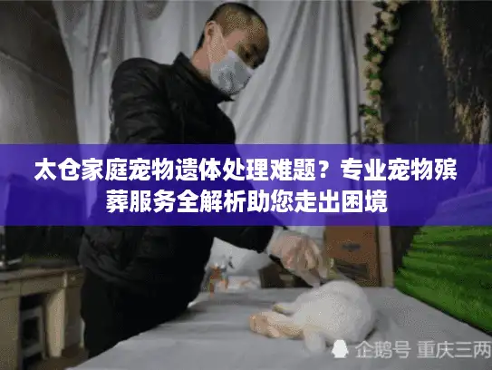 太仓家庭宠物遗体处理难题？专业宠物殡葬服务全解析助您走出困境
