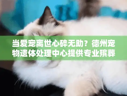 当爱宠离世心碎无助？德州宠物遗体处理中心提供专业殡葬服务