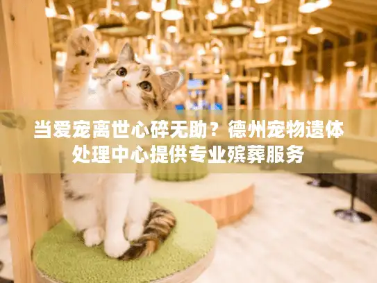 当爱宠离世心碎无助？德州宠物遗体处理中心提供专业殡葬服务