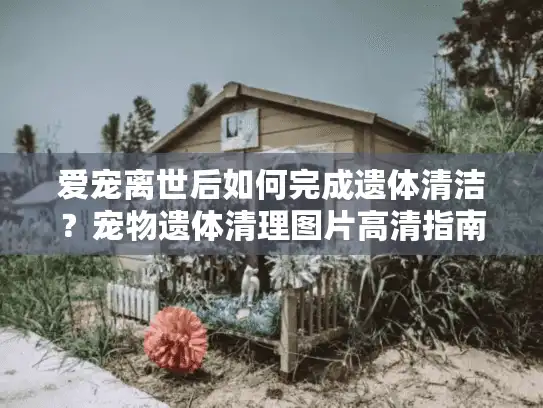 爱宠离世后如何完成遗体清洁？宠物遗体清理图片高清指南