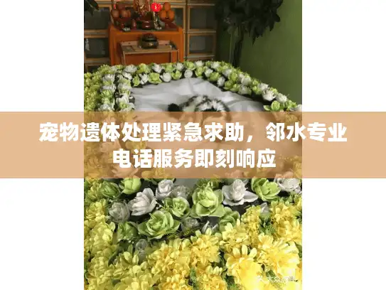 宠物遗体处理紧急求助，邻水专业电话服务即刻响应