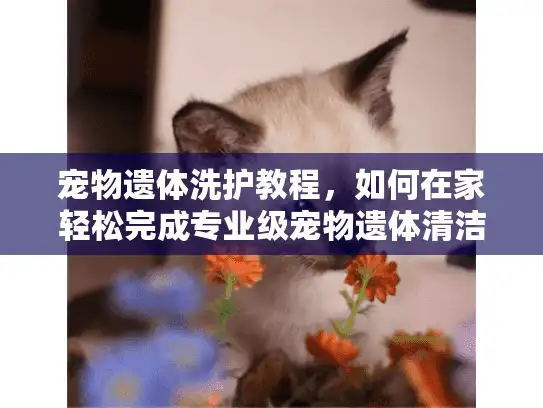 宠物遗体洗护教程，如何在家轻松完成专业级宠物遗体清洁？