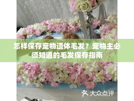 怎样保存宠物遗体毛发？宠物主必须知道的毛发保存指南