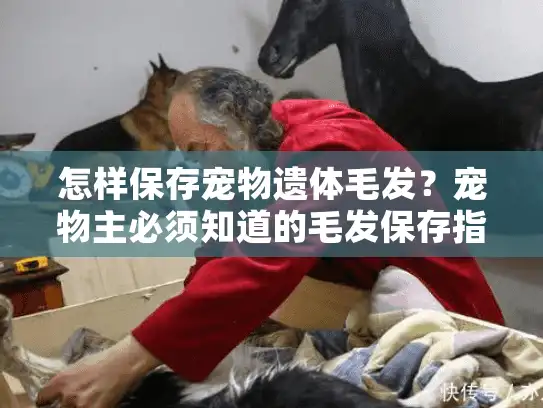 怎样保存宠物遗体毛发？宠物主必须知道的毛发保存指南