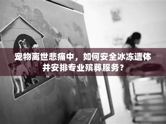 宠物离世悲痛中，如何安全冰冻遗体并安排专业殡葬服务？