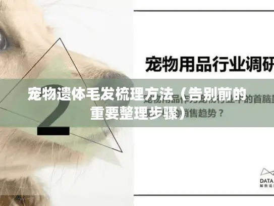 宠物遗体毛发梳理方法（告别前的重要整理步骤）