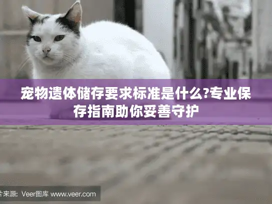宠物遗体储存要求标准是什么?专业保存指南助你妥善守护