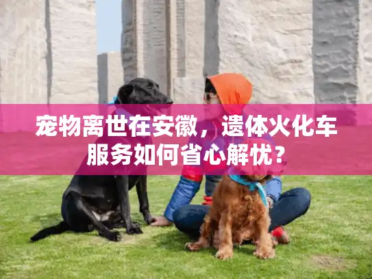 宠物离世在安徽，遗体火化车服务如何省心解忧？