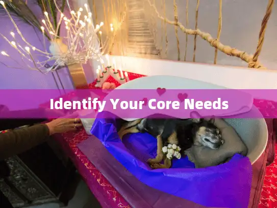 Identify Your Core Needs