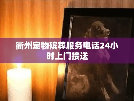 衢州宠物殡葬服务电话24小时上门接送