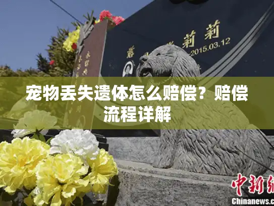 宠物丢失遗体怎么赔偿？赔偿流程详解