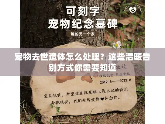 宠物去世遗体怎么处理？这些温暖告别方式你需要知道