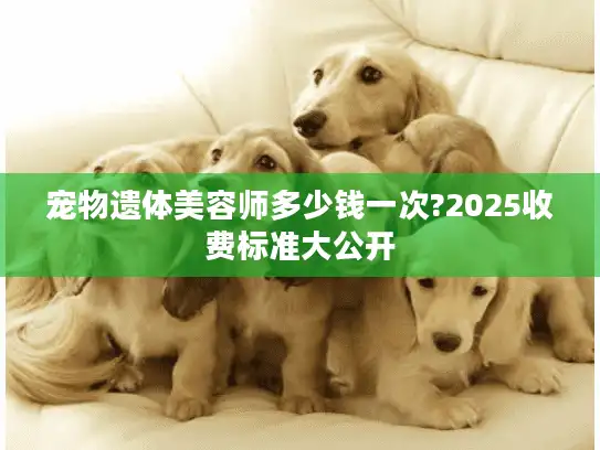 宠物遗体美容师多少钱一次?2025收费标准大公开