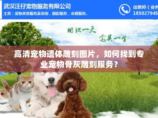 高清宠物遗体雕刻图片，如何找到专业宠物骨灰雕刻服务？