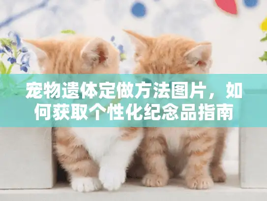 宠物遗体定做方法图片，如何获取个性化纪念品指南？