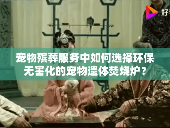 宠物殡葬服务中如何选择环保无害化的宠物遗体焚烧炉？
