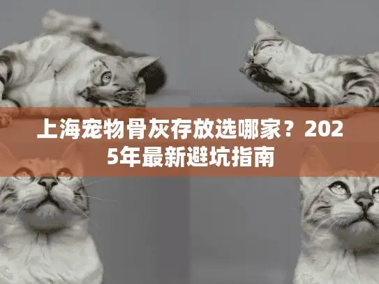 上海宠物骨灰存放选哪家？2025年最新避坑指南