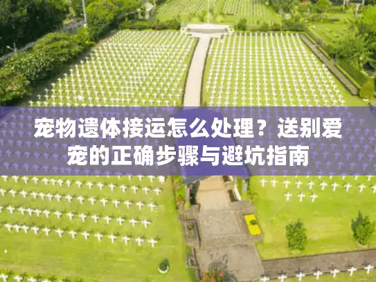 宠物遗体接运怎么处理？送别爱宠的正确步骤与避坑指南