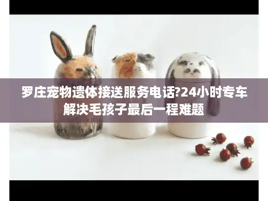 罗庄宠物遗体接送服务电话?24小时专车解决毛孩子最后一程难题