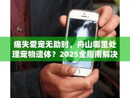痛失爱宠无助时，舟山哪里处理宠物遗体？2025全指南解决服务难题